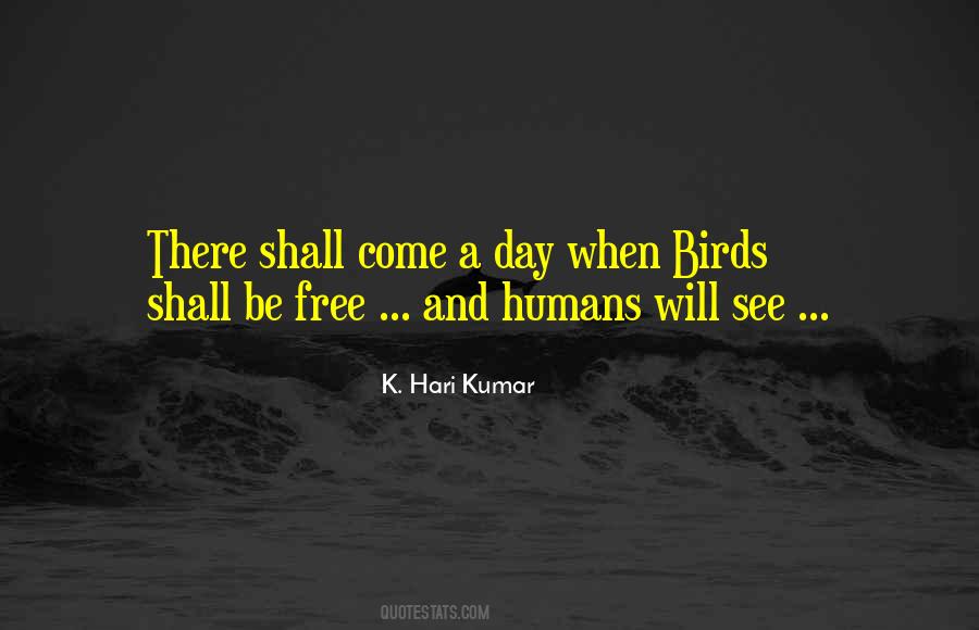 Quotes About Freedom Of Birds #449721