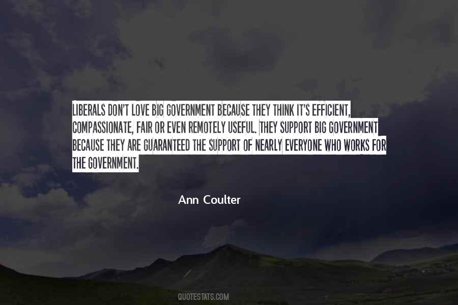 Quotes About Big Government #1188589