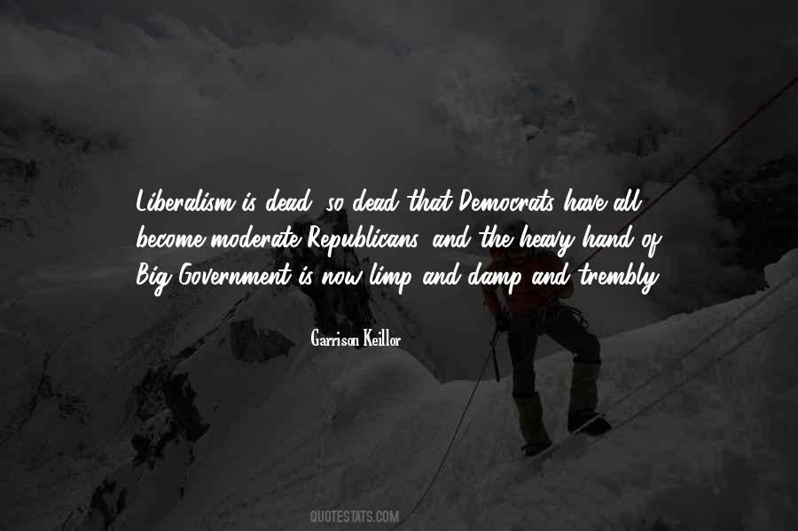 Quotes About Big Government #1291665