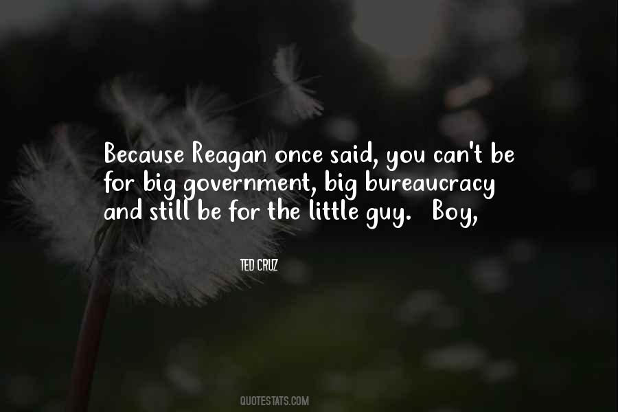 Quotes About Big Government #1328255