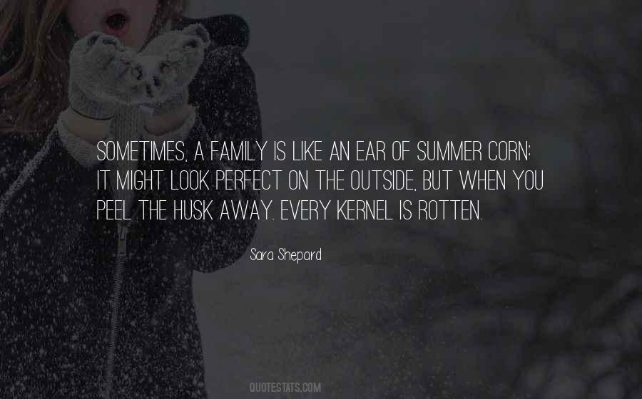 Quotes About Not Perfect Family #640639