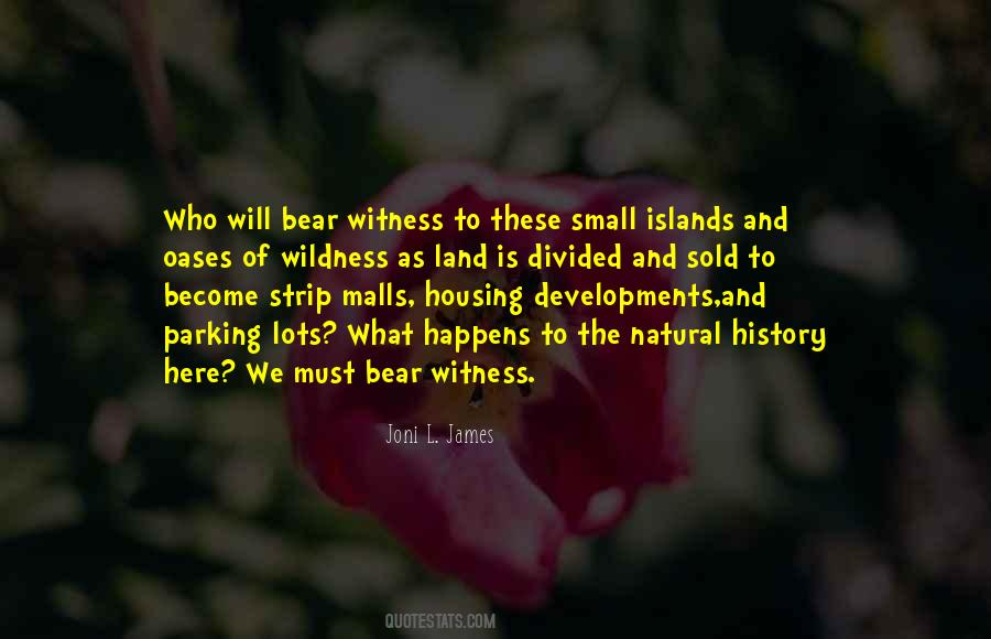Bear Witness Quotes #1033794