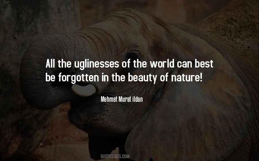 Quotes About The Beauty Of Nature #1348085