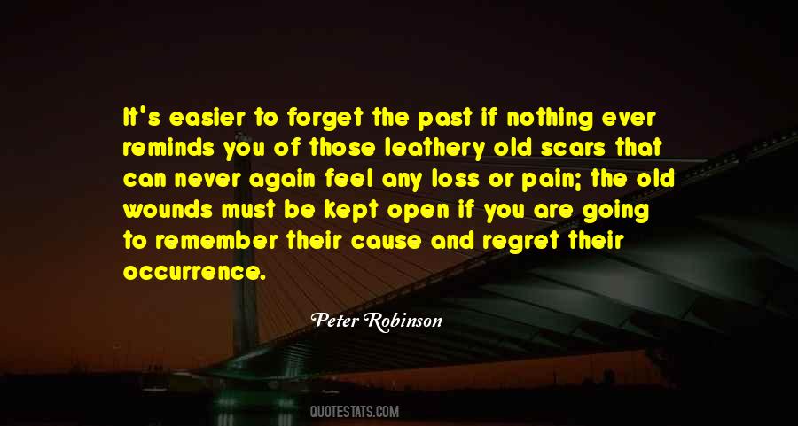 Quotes About Past Pain #402081