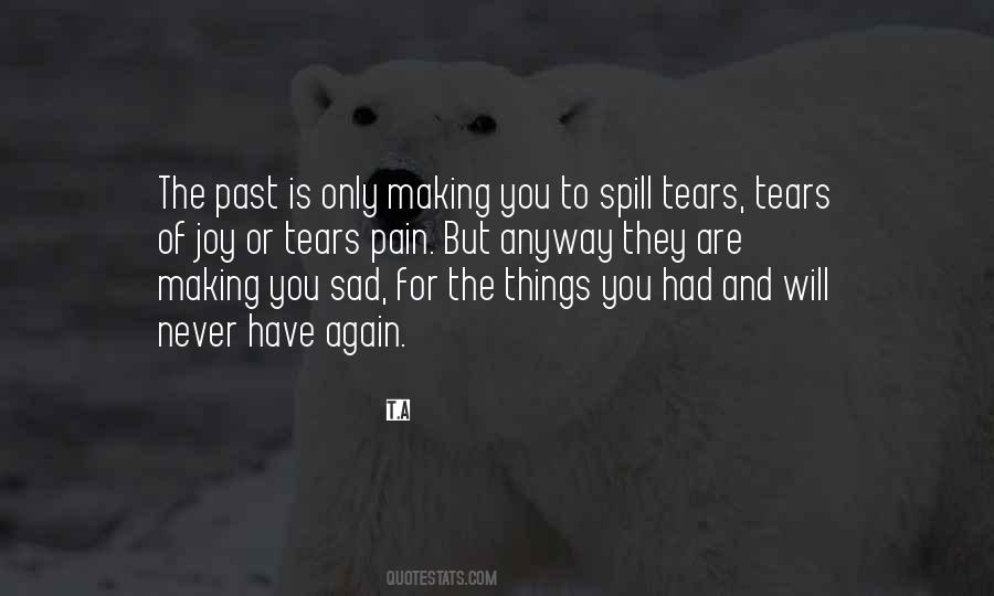 Quotes About Past Pain #422348