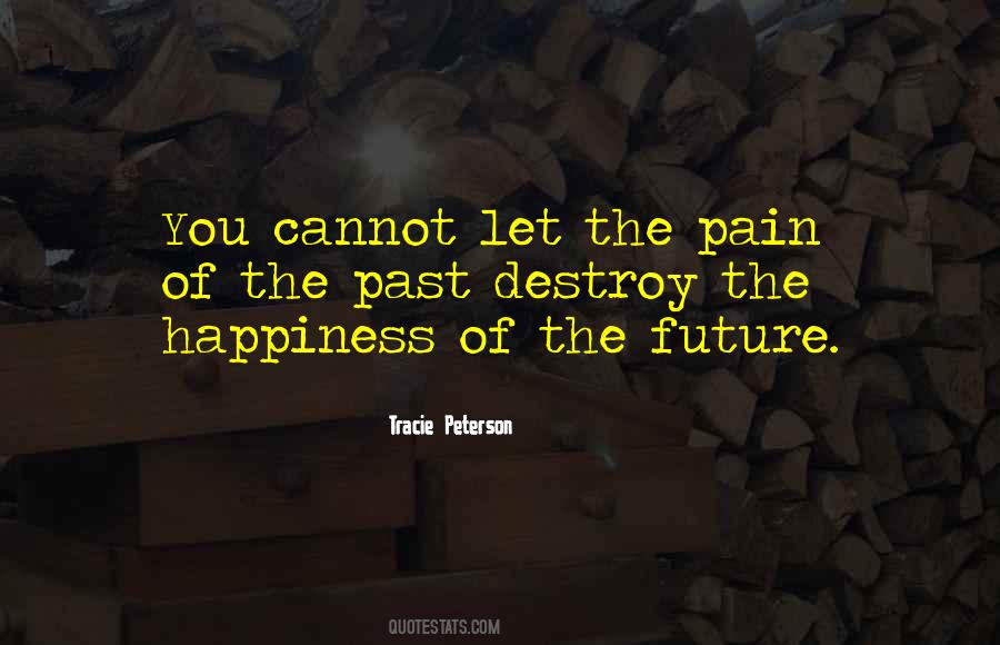 Quotes About Past Pain #576497