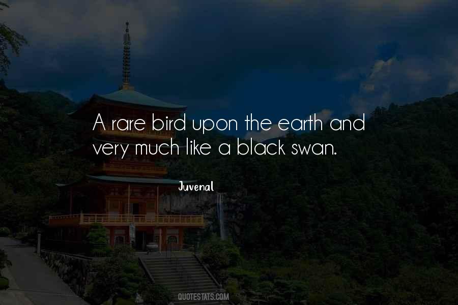 Quotes About A Black Swan #450223