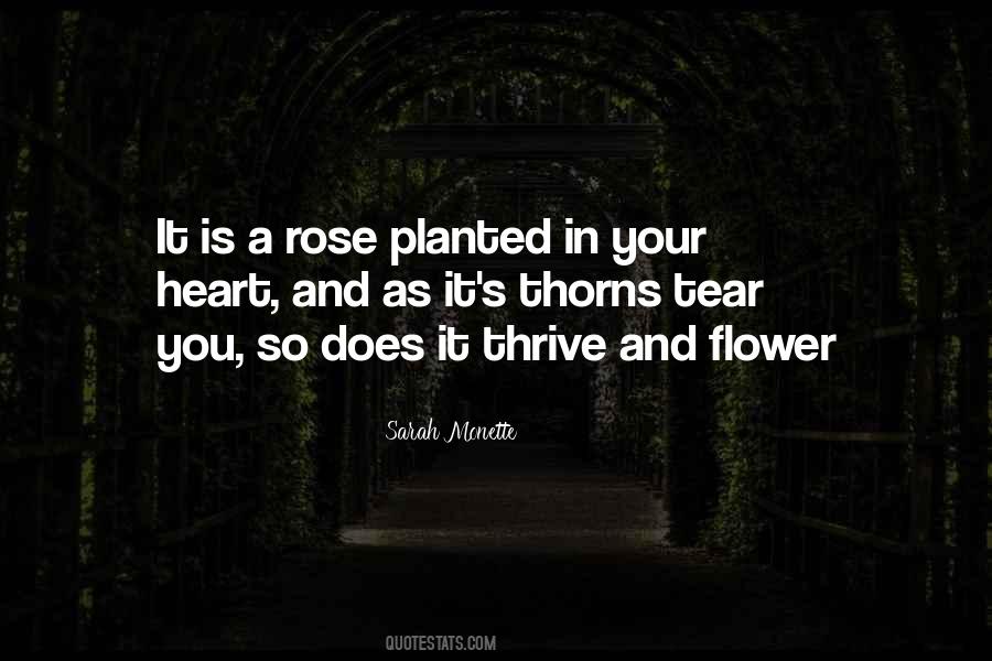 Quotes About Rose Thorns #1305621