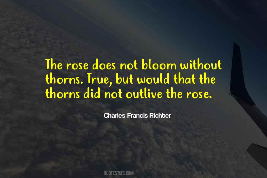 Quotes About Rose Thorns #1354490