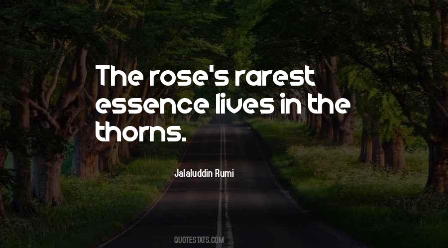 Quotes About Rose Thorns #1363193