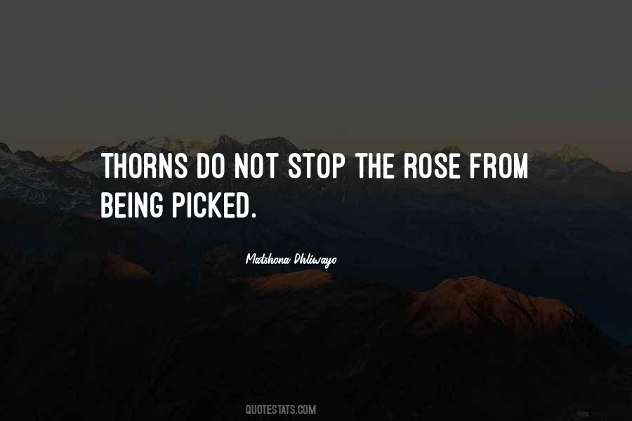 Quotes About Rose Thorns #558939