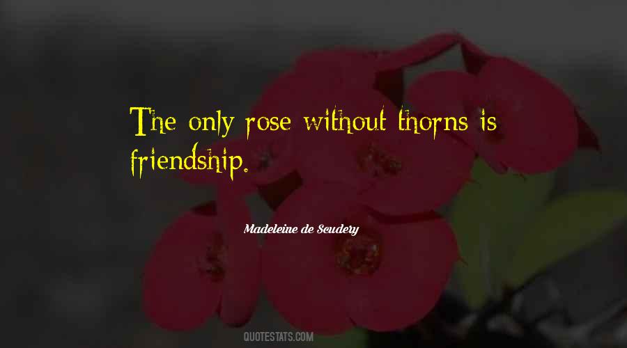 Quotes About Rose Thorns #61354