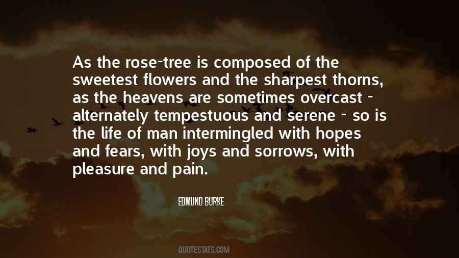 Quotes About Rose Thorns #955455