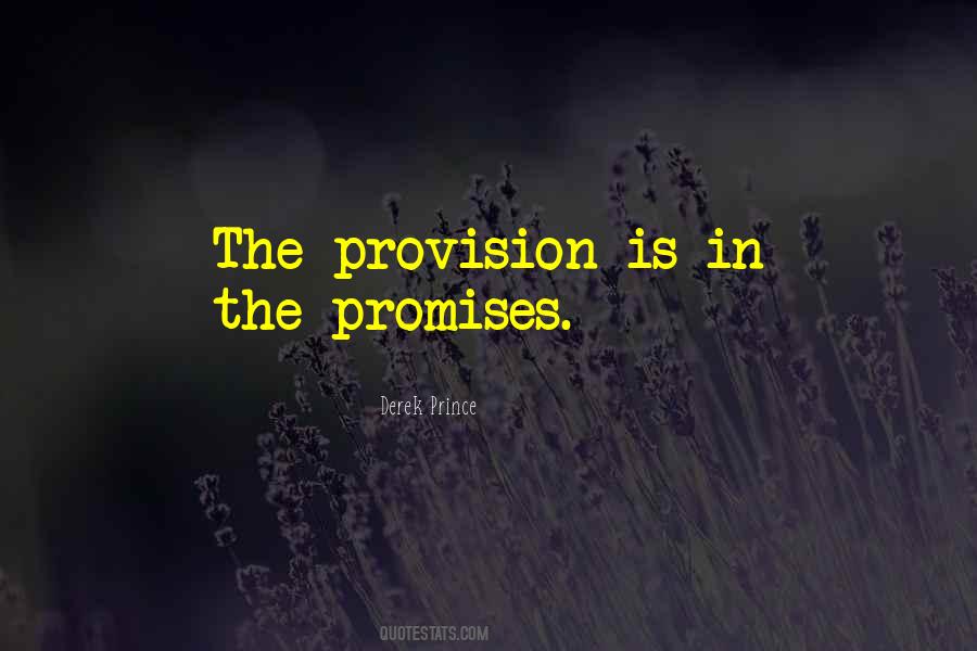 Quotes About Provision #995546