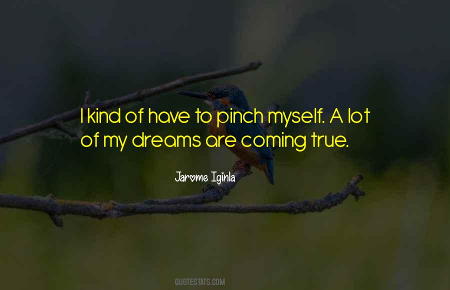Quotes About Dreams Coming True #369252