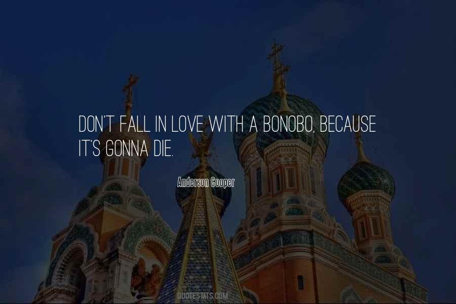 Quotes About Don't Fall In Love #1670360