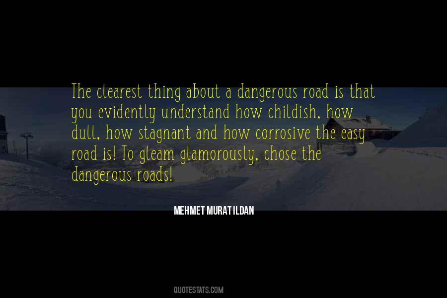 Quotes About Dangerous Roads #234552