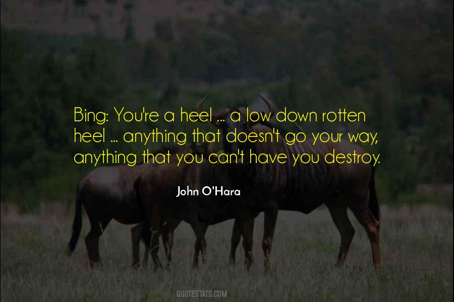 Southern Crime Novel Quotes #211540