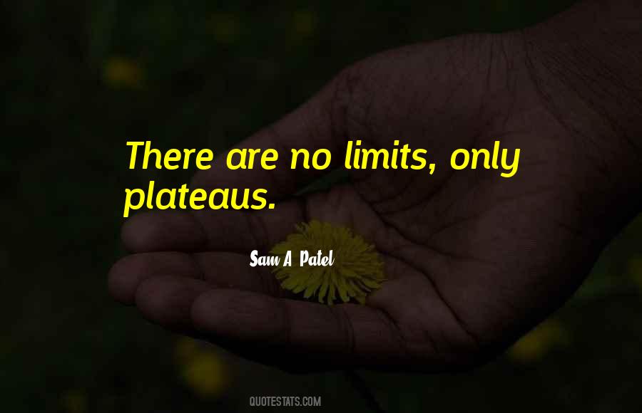 Quotes About No Limits #1870427