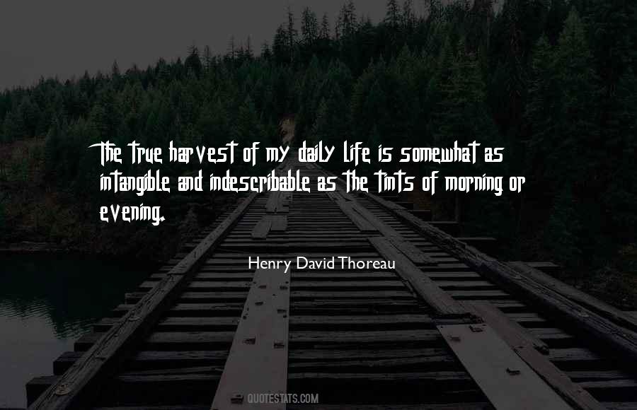 Happiness Is Indescribable Quotes #95089