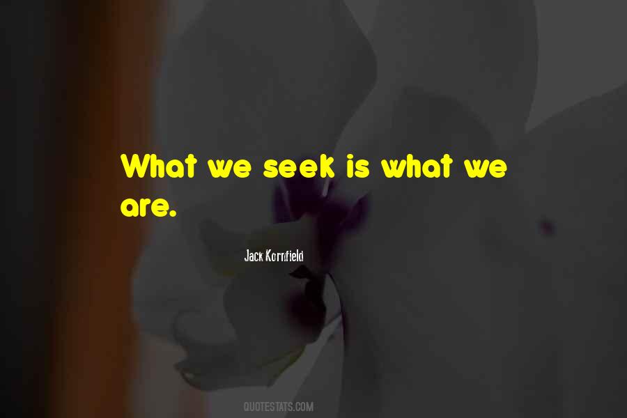What We Seek Quotes #802875