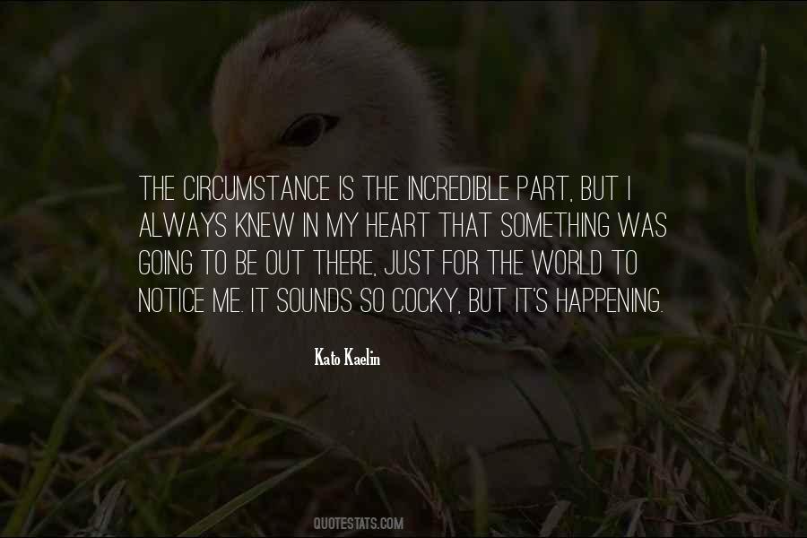 Sounds Incredible Quotes #190661