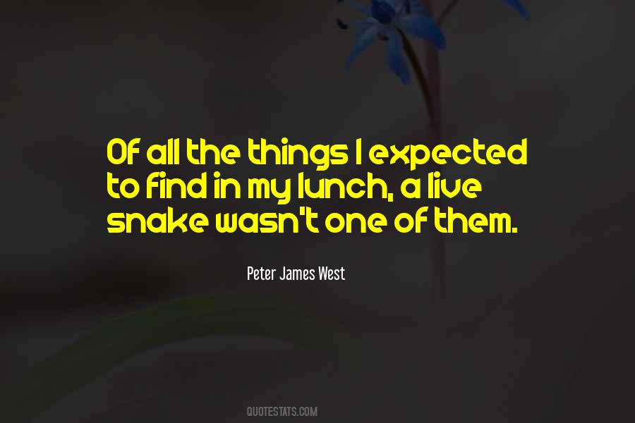 Quotes About Humour In Life #1273359