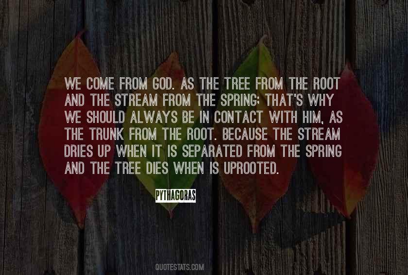 The Root Quotes #1164365