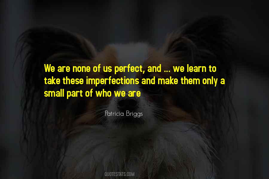 Quotes About Perfect Imperfections #1223249