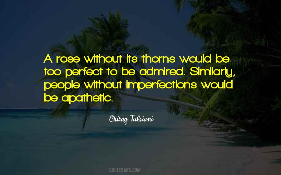 Quotes About Perfect Imperfections #160337