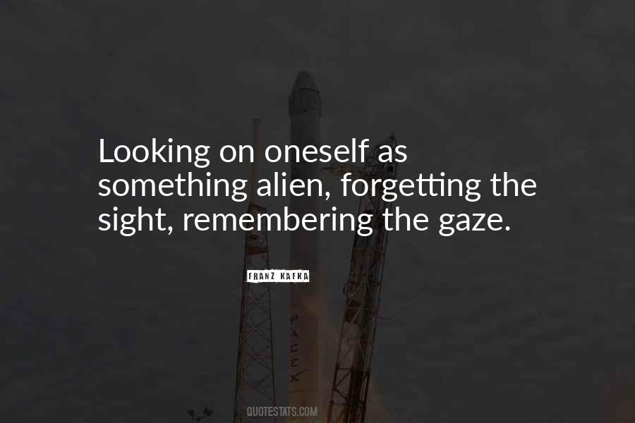 Quotes About Looking At Oneself #241389