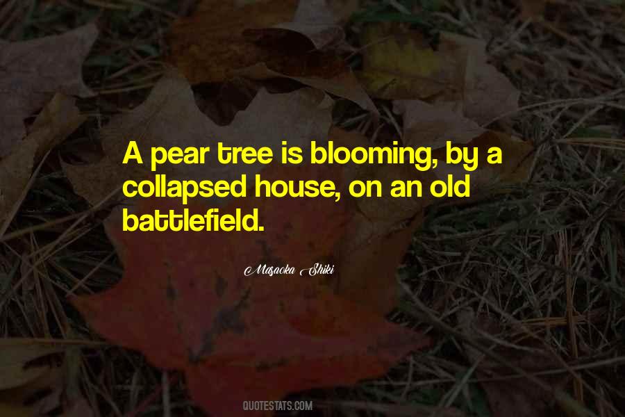 Blooming Tree Quotes #887080