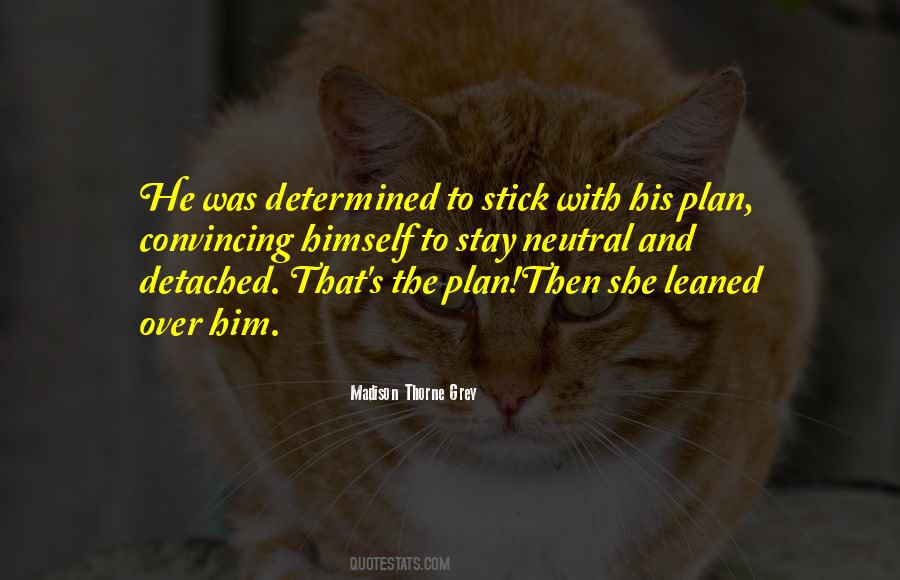 Quotes About The Plan #998710