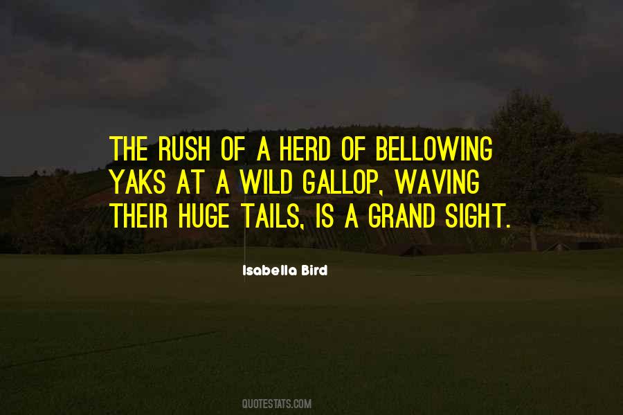 Quotes About Yaks #1309040