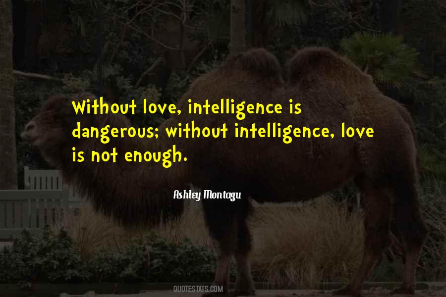 Quotes About Love Is Not Enough #462703