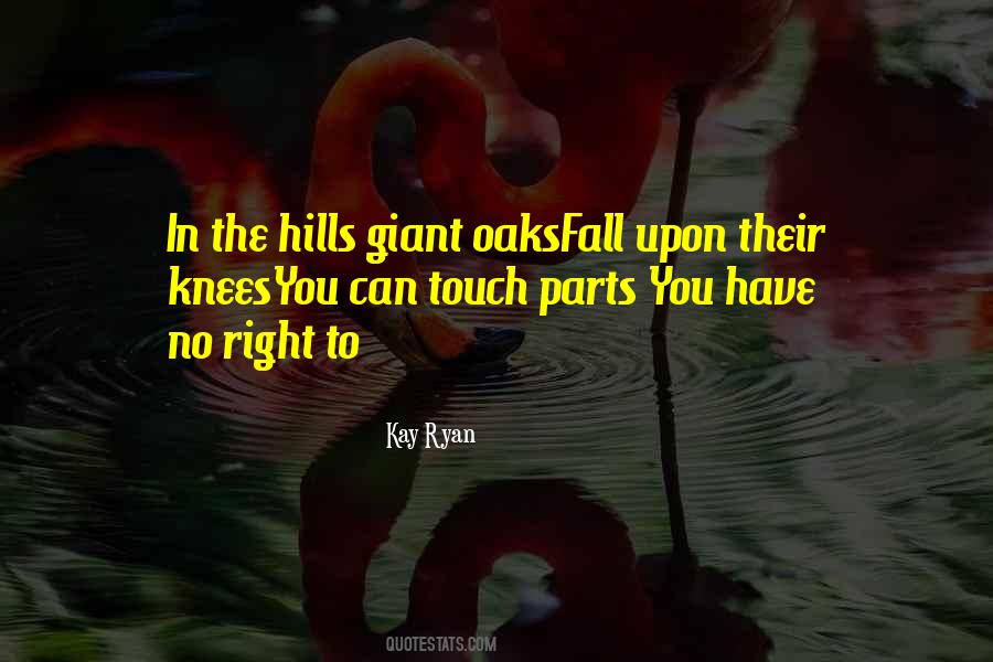 Fall On Your Knees Quotes #19916