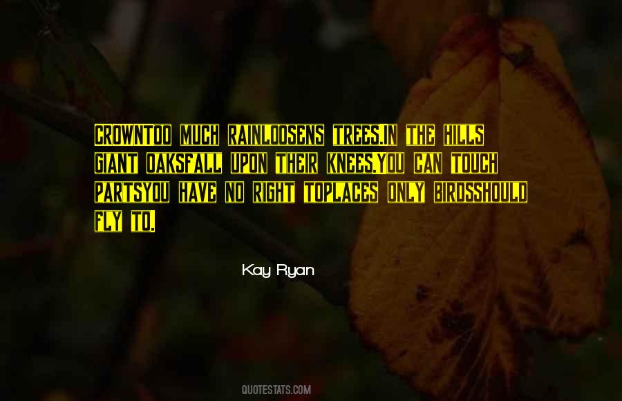 Fall On Your Knees Quotes #49068