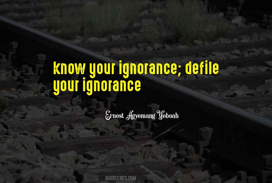 Quotes About Your Ignorance #143173