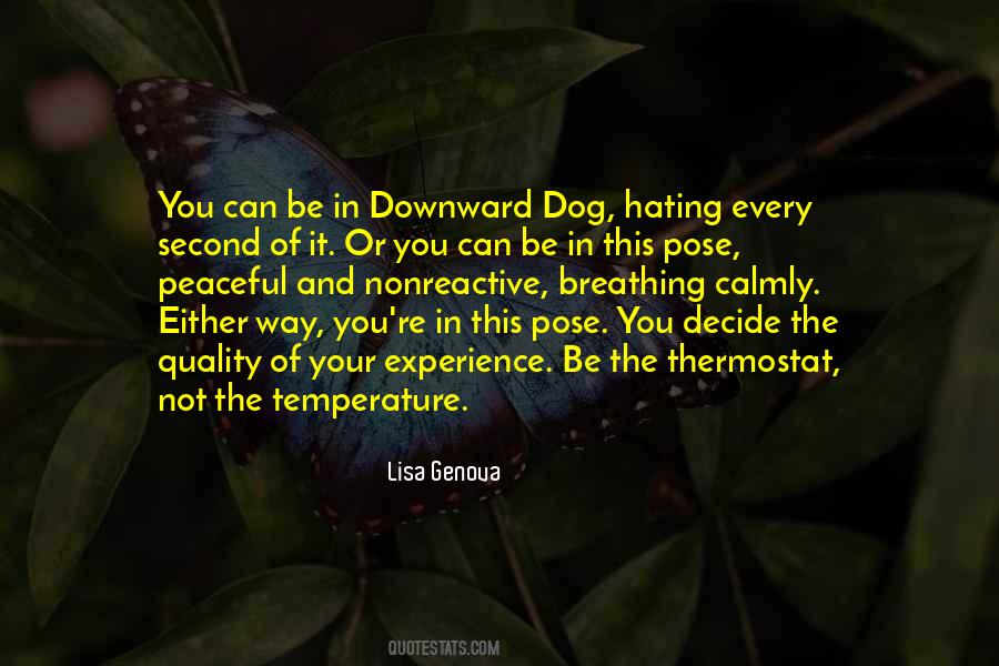 Quotes About Downward Dog #1821000