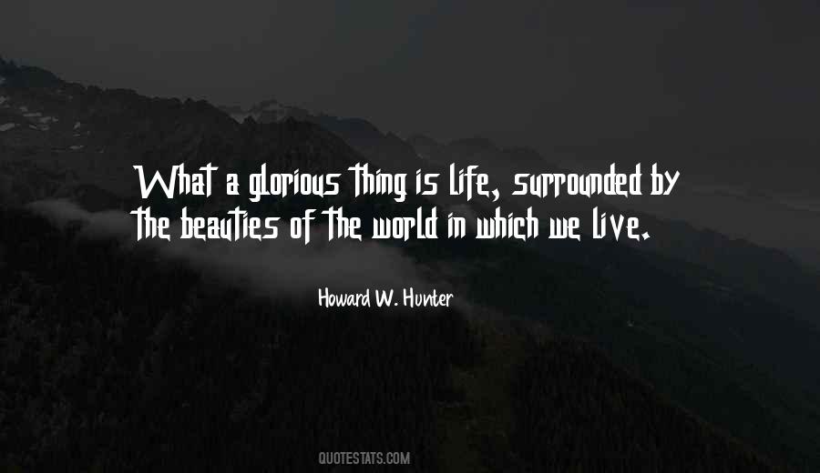 Beauties In Life Quotes #335436