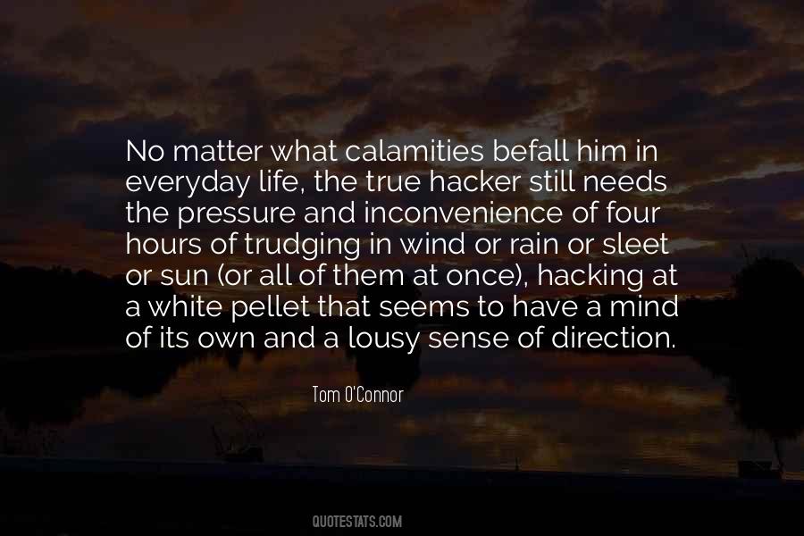Still The Mind Quotes #115588