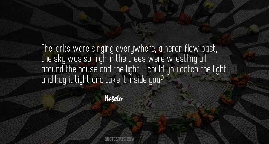 Quotes About Light In The Sky #387440