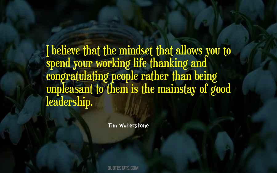 Quotes About The Mindset #1187528