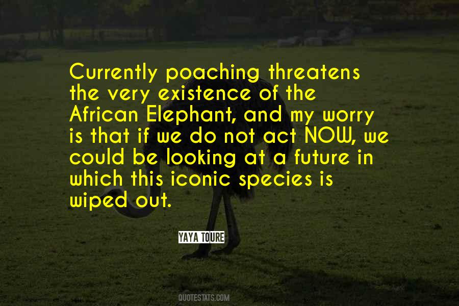 Quotes About Poaching #1364136