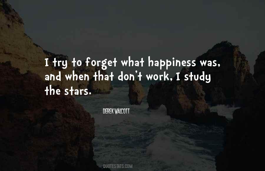 Quotes About Happiness And Work #76492