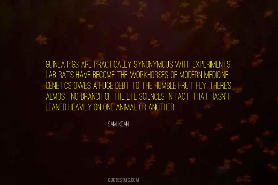 Quotes About Guinea #300506