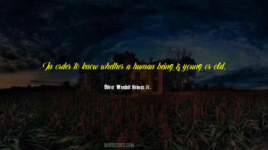 Night Is Young Quotes #667372