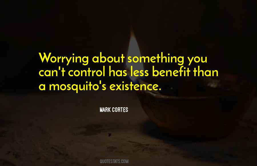 Quotes About Worrying About Things You Can't Control #1486919