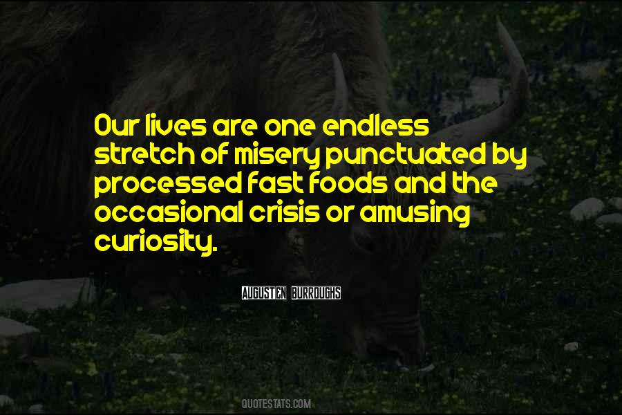 Endless Curiosity Quotes #351976