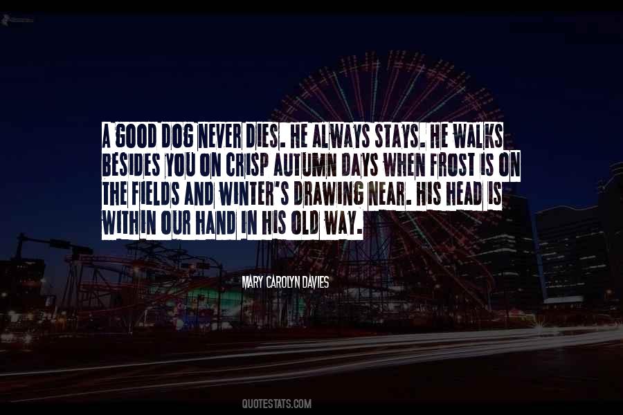 Quotes About The Dog Days #186195